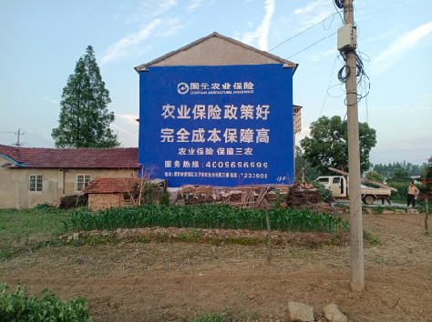 蓬溪墙体广告为何受追捧？