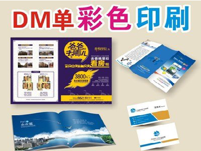 蓬溪单页印刷，色彩搭配简单。